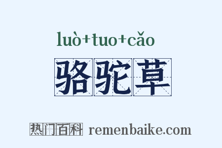骆驼草是什么意思的图片
